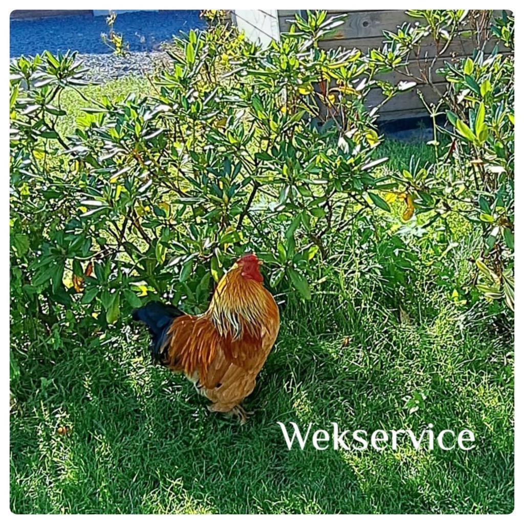 'T Zwientje Эрмело Экстерьер фото